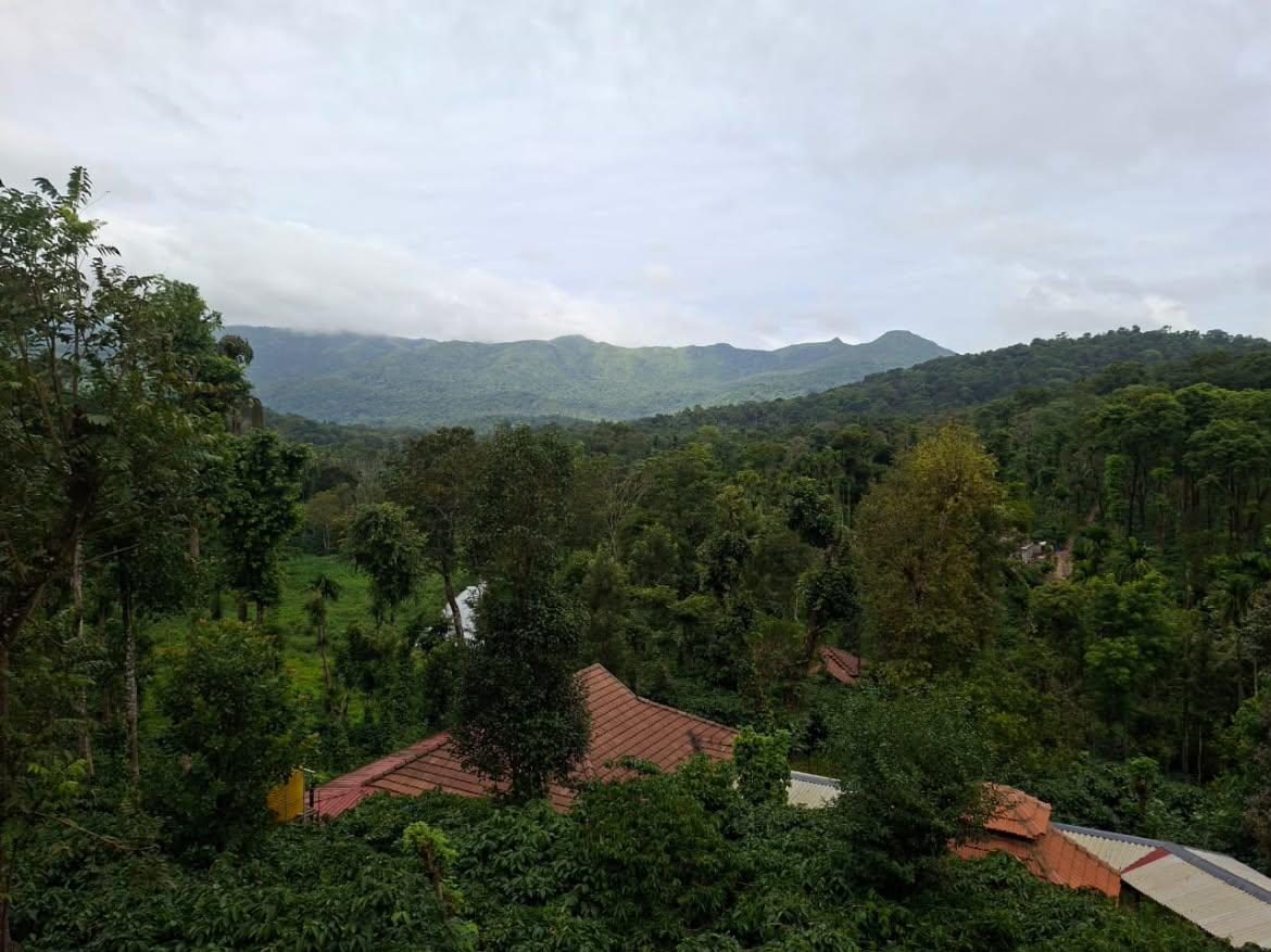 Forested hills and coffee plantation seen from the property, with tiled cottage roofs